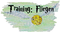 Training Fliegen