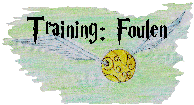 Training Foulen