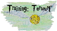 Training Torwurf